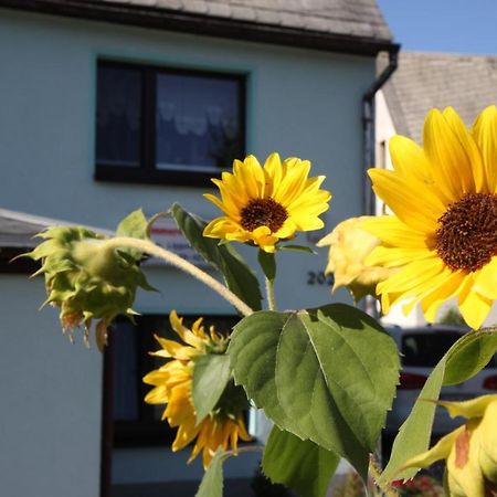 Ferienwohnung Lippmann Grosshartmannsdorf Exteriér fotografie