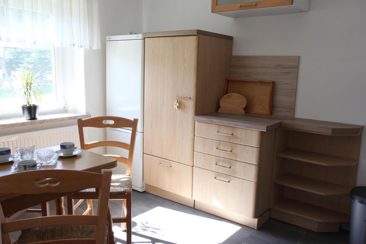 Ferienwohnung Lippmann Grosshartmannsdorf Exteriér fotografie